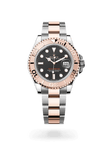 brand-new-yacht-master-40-m126621-0002-size-40mm