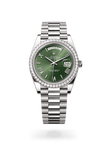 brand-new-day-date-40-m228349rbr-0030-size-40mm