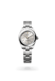 brand-new-oyster-perpetual-28-m276200-0001-size-28mm