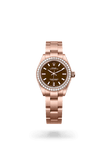 brand-new-oyster-perpetual-28-m276245rbr-0002-size-28mm