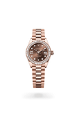 brand-new-lady-datejust-m279135rbr-0001-size-28mm
