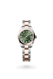 brand-new-lady-datejust-m279161-0008-size-28mm
