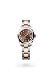 brand-new-lady-datejust-m279161-0012-size-28mm