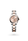 brand-new-lady-datejust-m279161-0024-size-28mm