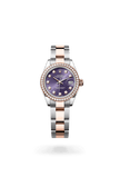 brand-new-lady-datejust-m279381rbr-0016-size-28mm