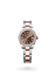brand-new-lady-datejust-m279381rbr-0018-size-28mm