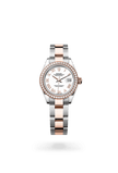 brand-new-lady-datejust-m279381rbr-0022-size-28mm