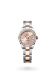 brand-new-lady-datejust-m279381rbr-0028-size-28mm