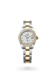 brand-new-lady-datejust-m279383rbr-0020-size-28mm