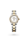 brand-new-lady-datejust-m279383rbr-0024-size-28mm