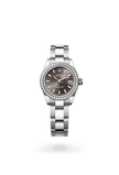 brand-new-lady-datejust-m279384rbr-0014-size-28mm
