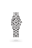 brand-new-lady-datejust-m279459rbr-0001-size-28mm