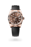 brand-new-sky-dweller-m336235-0002-size-42mm