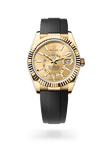 brand-new-sky-dweller-m336238-0001-size-42mm