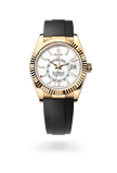 brand-new-sky-dweller-m336238-0003-size-42mm