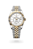 brand-new-sky-dweller-m336933-0006-size-42mm