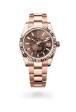 brand-new-sky-dweller-m336935-0002-size-42mm