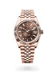brand-new-sky-dweller-m336935-0006-size-42mm