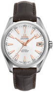 OMEGA Seamaster Aqua Terra 41.5Mm Men'S Watch 231.13.42.21.02.002 1