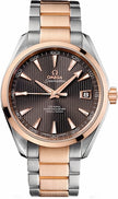 OMEGA Seamaster Aqua Terra 231.20.42.21.06.001 1
