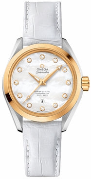 OMEGA Seamaster Aqua Terra 231.23.34.20.55.002 1
