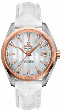 OMEGA Seamaster Aqua Terra 231.23.39.21.55.001 1