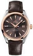 OMEGA Seamaster Aqua Terra 231.23.42.21.06.001 1
