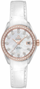 OMEGA Seamaster Aqua Terra 231.28.30.20.55.001 1
