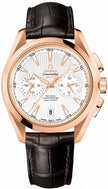 OMEGA Seamaster Aqua Terra 231.53.43.52.02.001 1