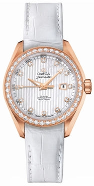 OMEGA Seamaster Aqua Terra 231.58.34.20.55.002 1