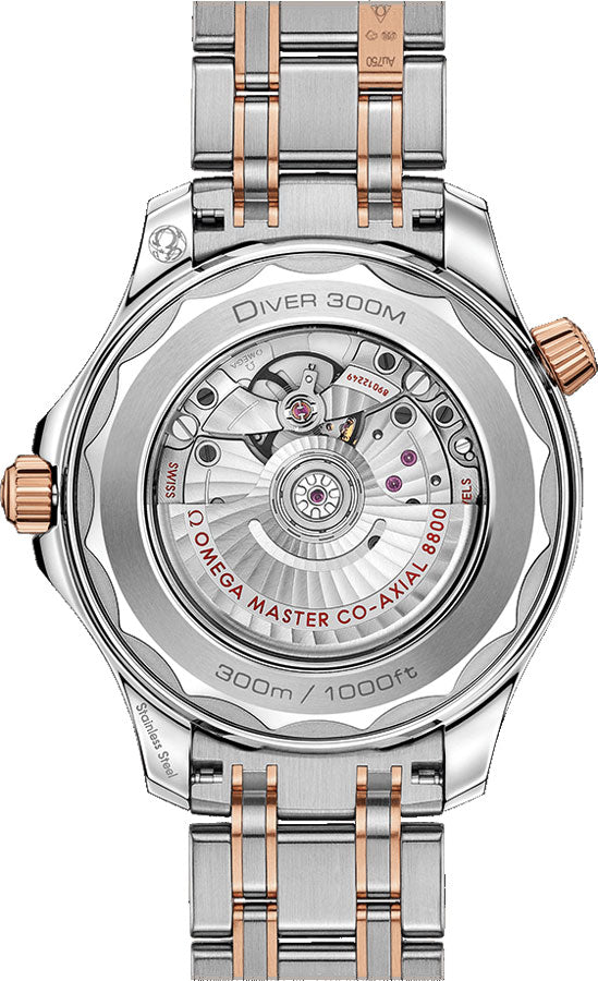 OMEGA Seamaster Men'S Watch 210.20.42.20.01.001 2