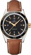 OMEGA Seamaster 233.22.41.21.01.001 1