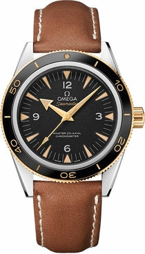 OMEGA Seamaster 233.22.41.21.01.001 1
