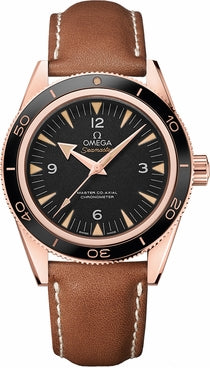 OMEGA Seamaster 233.62.41.21.01.002 1