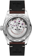 OMEGA Seamaster 300 Black Dial Steel Men'S Watch 234.32.41.21.01.001 2