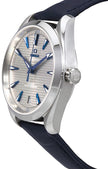 OMEGA Seamaster Aqua Terra 220.13.41.21.06.001 2