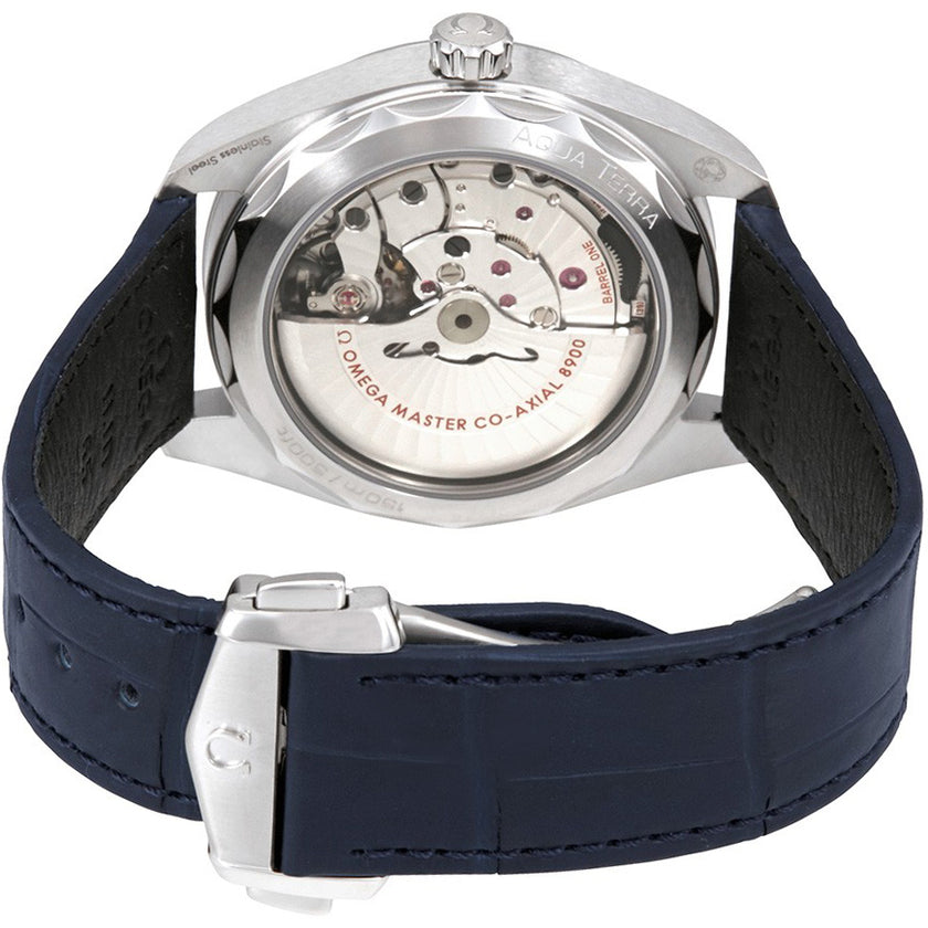 OMEGA Seamaster Aqua Terra 220.13.41.21.06.001 3