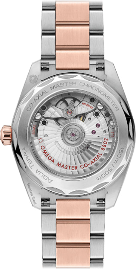 OMEGA Seamaster Aqua Terra Automatic Men'S Watch 220.20.38.20.10.001 2