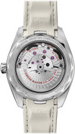 OMEGA Seamaster Aqua Terra Automatic Men'S Watch 220.12.41.21.02.005 2