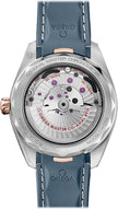 OMEGA Seamaster Aqua Terra Rose Gold & Steel Men'S Watch 220.22.41.21.03.001 2