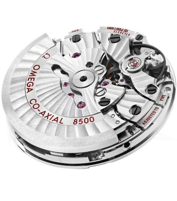 OMEGA Seamaster Aqua Terra 231.10.39.21.06.001 3