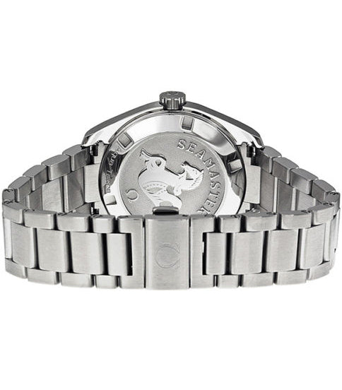 OMEGA Seamaster Aqua Terra Black Dial Steel Men'S Watch 231.10.39.60.06.001 3
