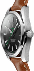 OMEGA Seamaster Aqua Terra 41.5Mm Men'S Watch 231.12.42.21.01.003 3