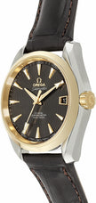 OMEGA Seamaster Aqua Terra 231.23.39.21.06.002 2