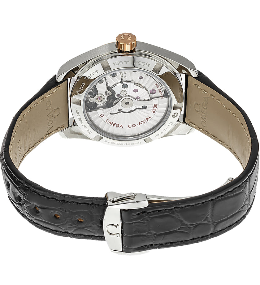 OMEGA Seamaster Aqua Terra Men'S Luxury Watch 231.23.39.21.51.001 3