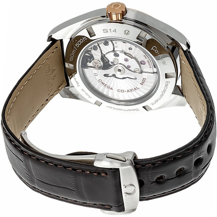 OMEGA Seamaster Aqua Terra 231.23.43.22.06.001 3