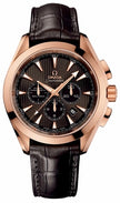 OMEGA Seamaster Aqua Terra 231.53.44.50.06.001 1
