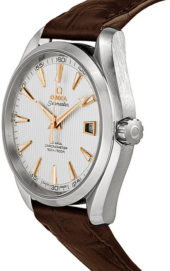 OMEGA Seamaster Aqua Terra 41.5Mm Men'S Watch 231.13.42.21.02.002 2