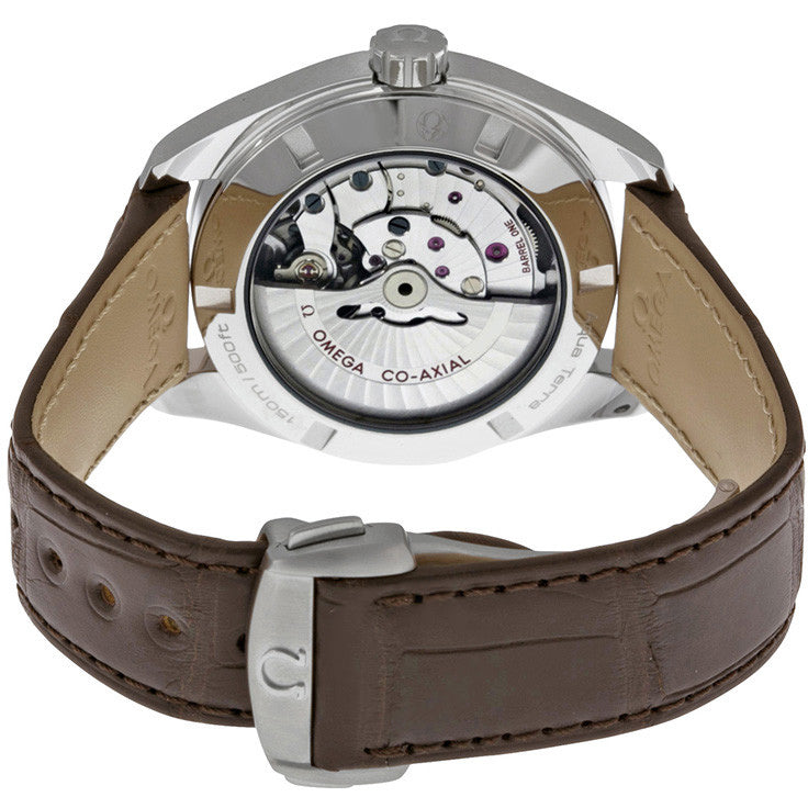 OMEGA Seamaster Aqua Terra Day Date Automatic Men'S Watch 231.13.42.22.02.001 3