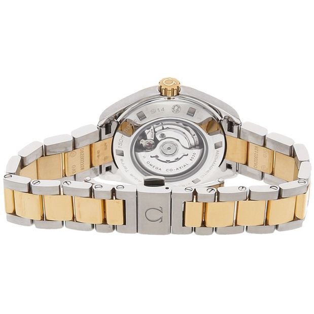 OMEGA Seamaster Aqua Terra Gold & Steel 34Mm Women'S Watch 231.25.34.20.55.006 2